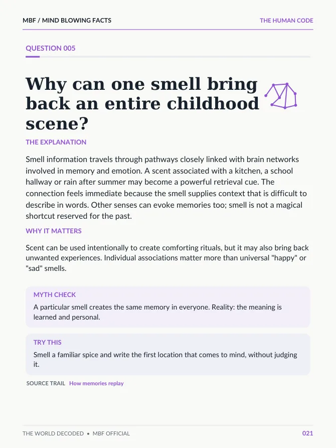 Real ebook page: Why can one smell bring back an entire childhood scene?